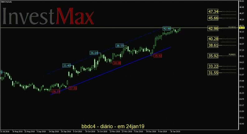 Banco Bradesco PN gr